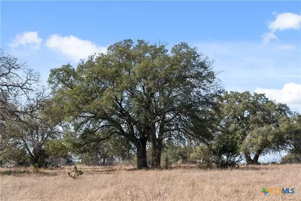 Salado, TX 76571,TBD Hidden Springs DR