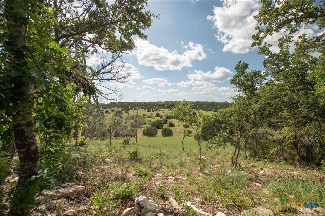Lampasas, TX 76550,FM 580 E. 0123  Lot 23 & Lot 25