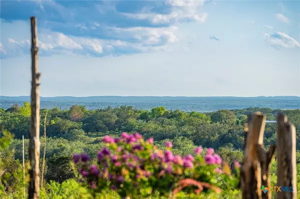 Marble Falls, TX 78654,9738 E Fm1431