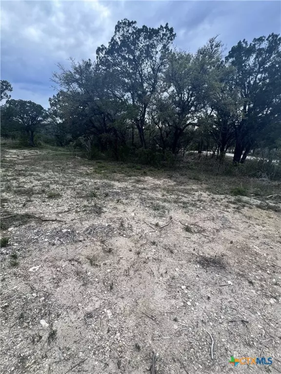 Leander, TX 78645,19705 Tyler TRL