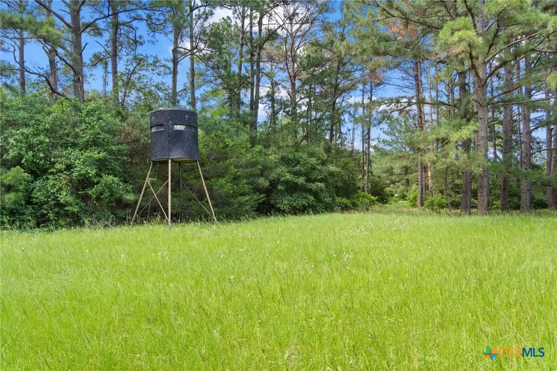 Paige, TX 78659,TBD (Tracts 11 & 12) St Delight RD