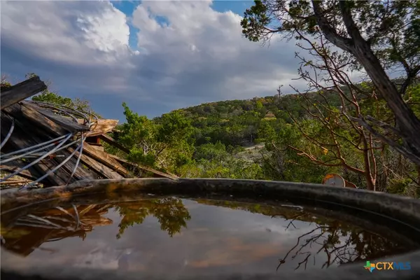 Pipe Creek, TX 78063,3939 Bear Springs RD