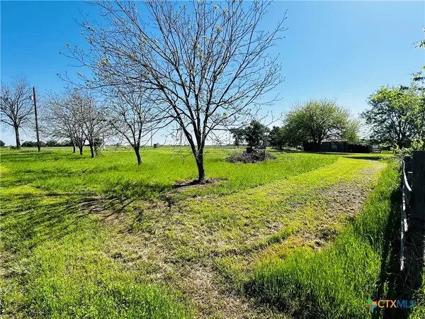 Cameron, TX 76520,1454 County Road 218