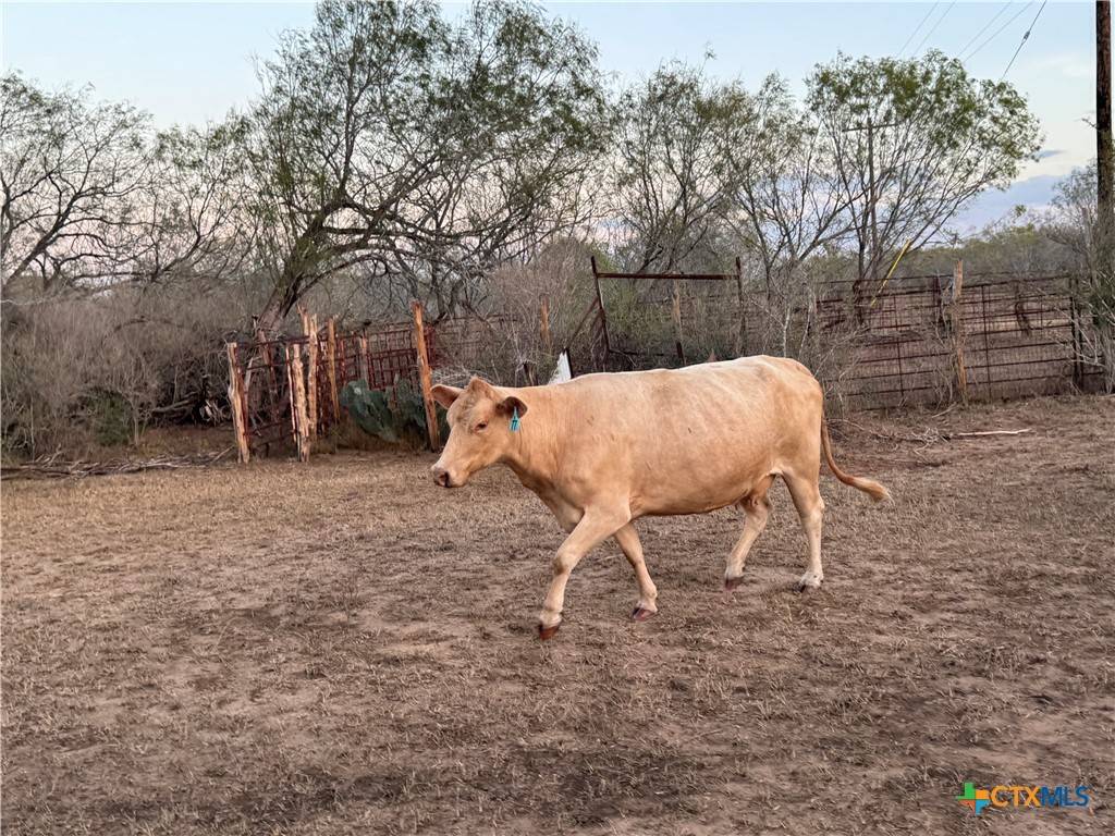 Stockdale, TX 78160,TBD Fm-1681