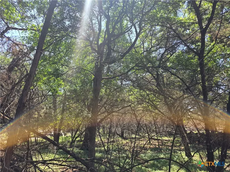 1548 Winding Creek TRL, Spring Branch, TX 78070