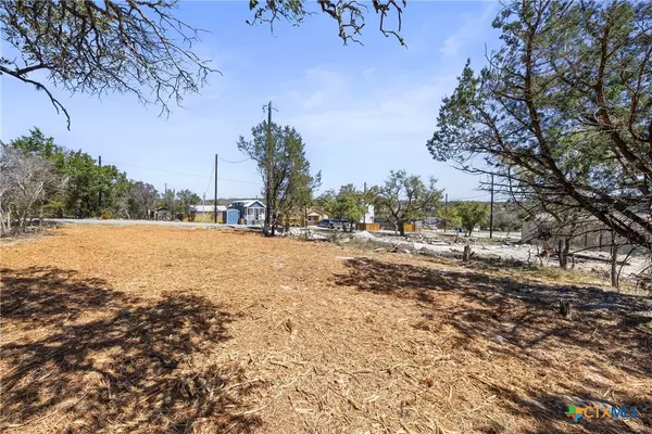 Canyon Lake, TX 78133,1886 Rhinestone