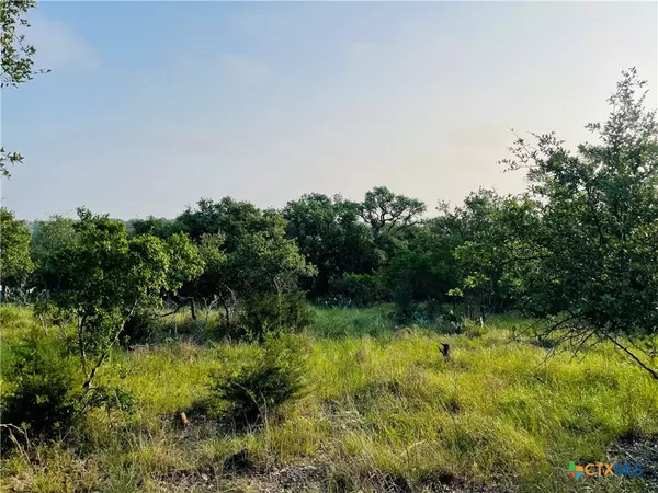 New Braunfels, TX 78132,395 Shady HOLW