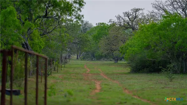 Floresville, TX 78114,TBD County Road 404