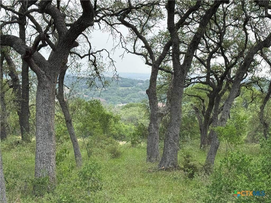 364 Hidden Pointe, New Braunfels, TX 78132