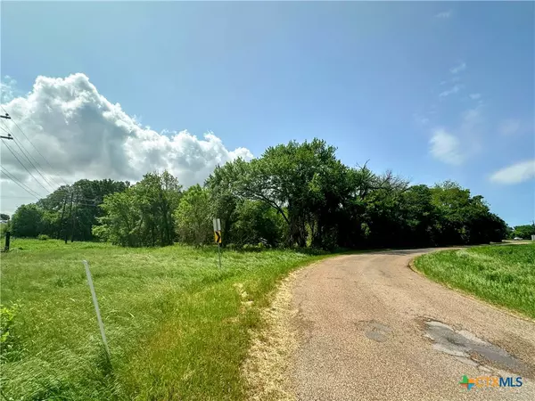 Mcgregor, TX 76657,TBD CITY VIEW RD