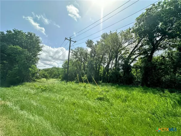 Mcgregor, TX 76657,TBD CITY VIEW RD