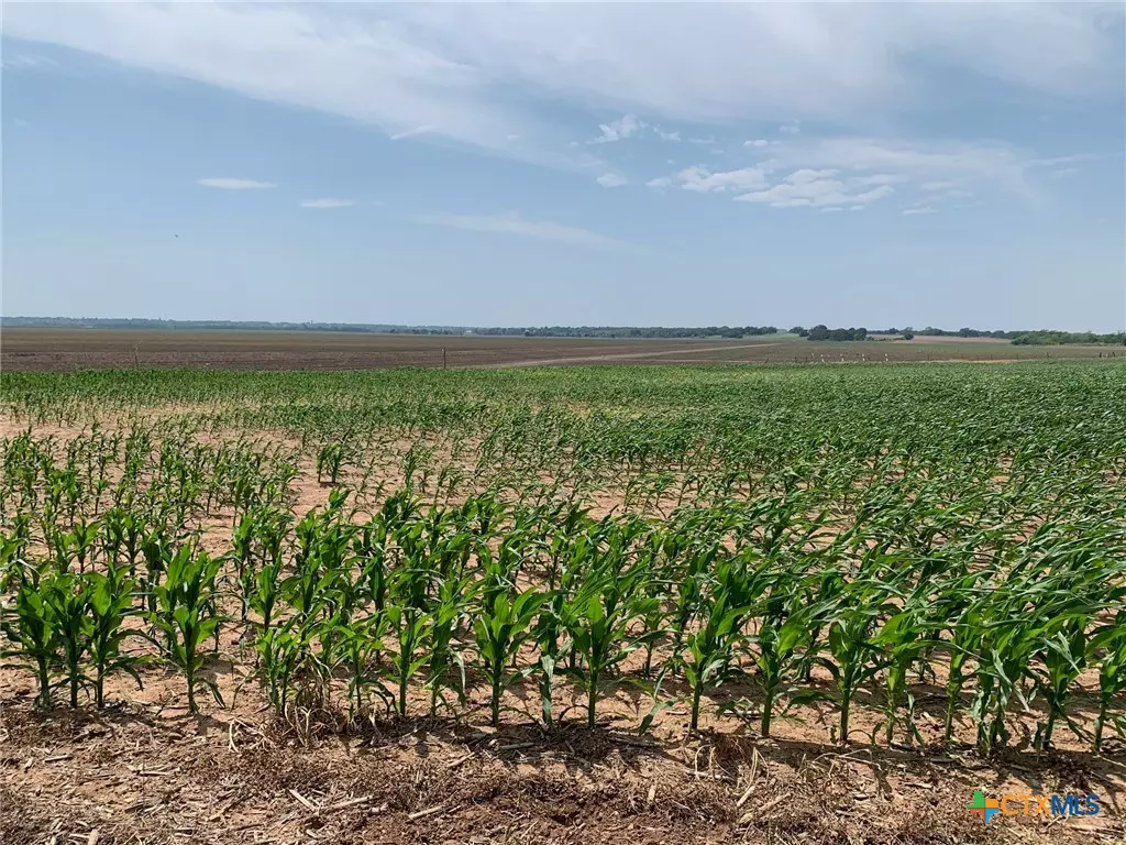 Chilton, TX 76632,TBD County Road 448