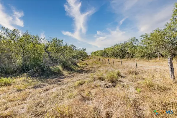Smiley, TX 78159,TBD N Fm 108