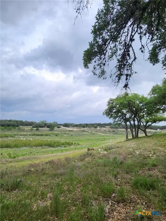 Canyon Lake, TX 78133,1279 Kings Cove DR