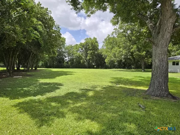 Flatonia, TX 78941,110 E 9th ST