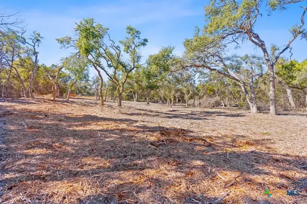 Wimberley, TX 78676,1552 S Rainbow Ranch RD