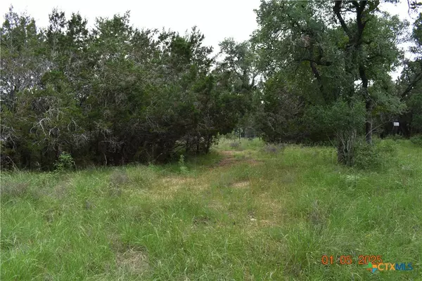 New Braunfels, TX 78132,2315 Haven Bluff CT