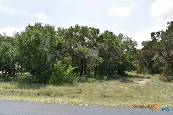 New Braunfels, TX 78132,2315 Haven Bluff CT