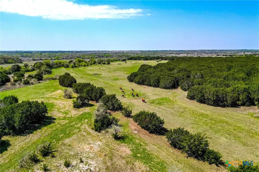 111 +/- ac. 13755 N Lone Star Pkwy, Valley Mills, TX 76689