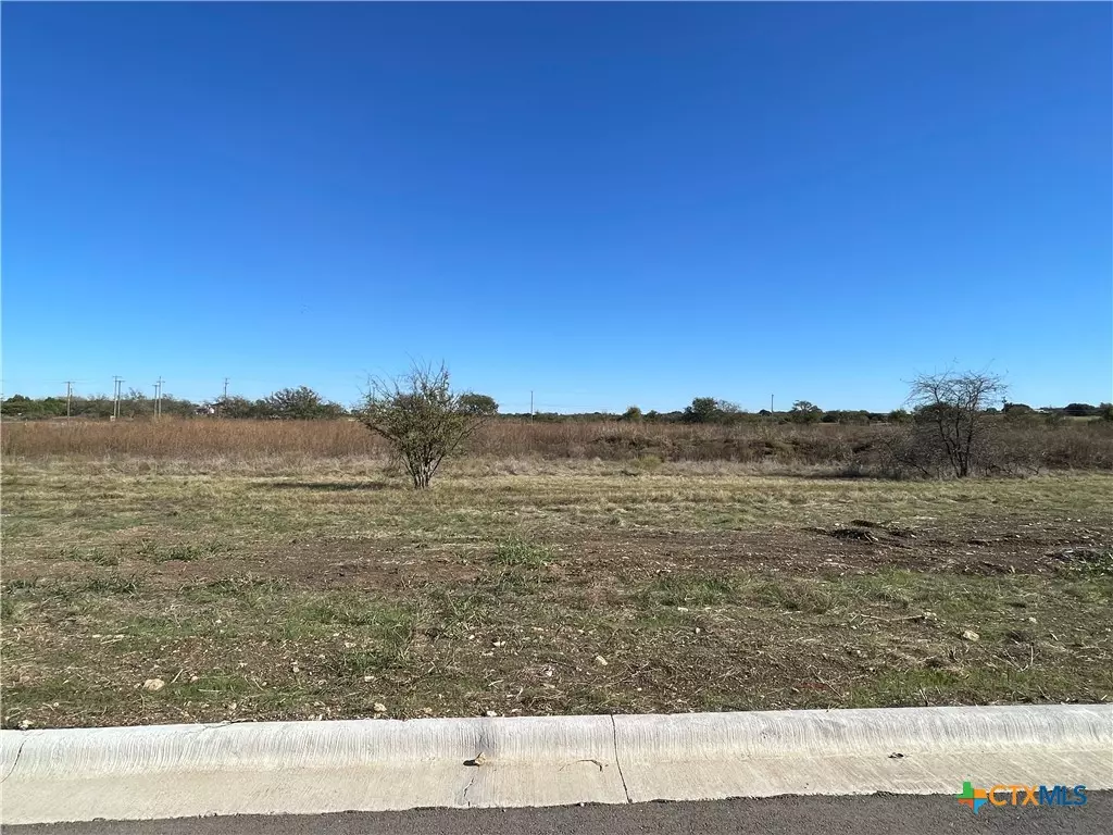 Salado, TX 76571,2020 Botts DR