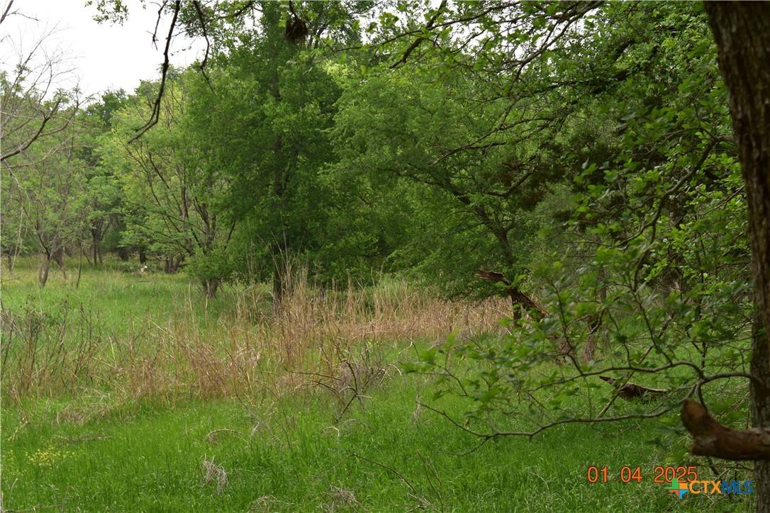 New Braunfels, TX 78130,240 Caney Creek RD