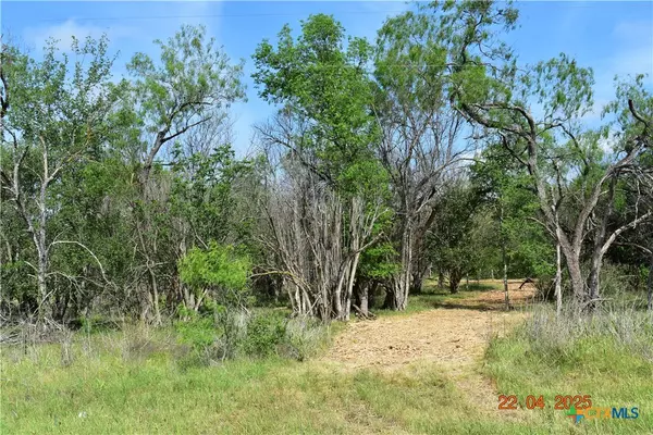 New Braunfels, TX 78130,000TBD Caney Creek RD