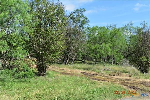 000TBD Caney Creek RD, New Braunfels, TX 78130