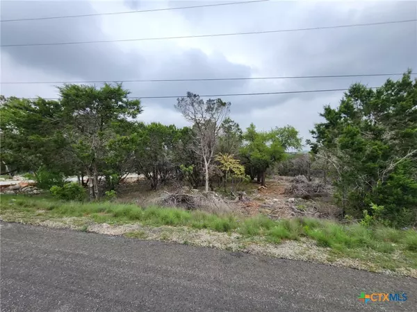 New Braunfels, TX 78132,1745 Moon View DR