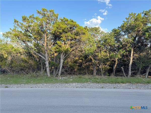 1177 Hallmark, Canyon Lake, TX 78133