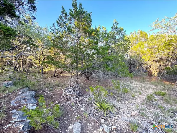 Canyon Lake, TX 78133,1191 Hallmark