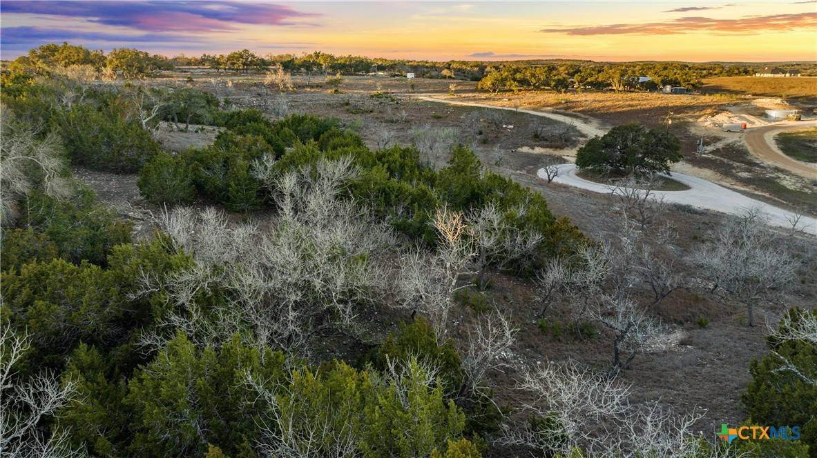 Blanco, TX 78606,1069 Purple Sage TRL