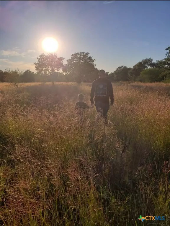 Goliad, TX 77963,6694 Danforth RD