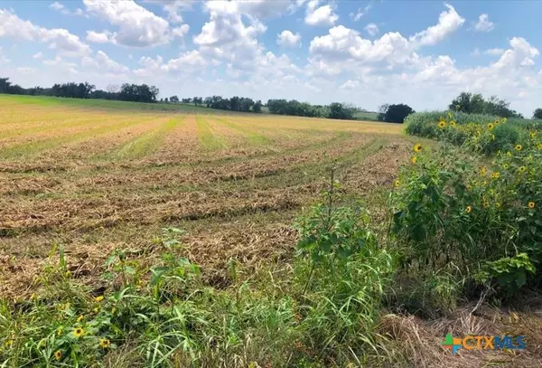 Thrall, TX 76578,TBD County Road 421