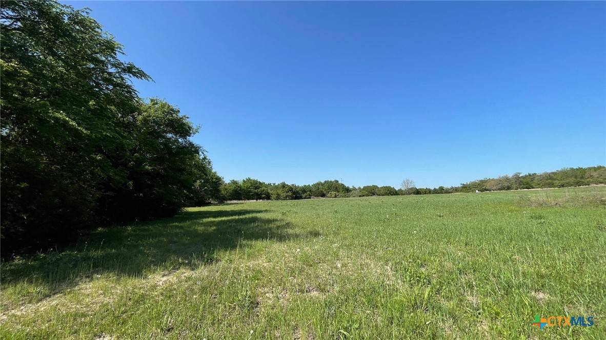 Franklin, TX 77856,2876 Grant Prairie Rd (+/-75.7 acres)