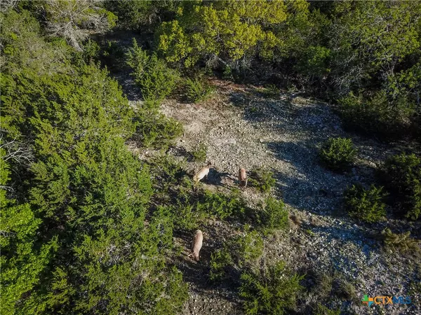 000 Blackbuck Trail, Pipe Creek, TX 78063