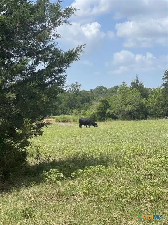 Milano, TX 76556,4514 County Road 328