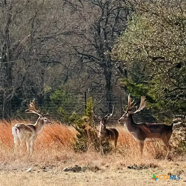 Purmela, TX 76566,2265 County Road 106