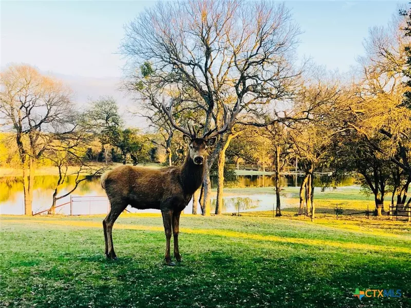 6101 County Road 208, Lampasas, TX 76550