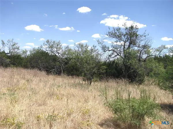 Evant, TX 76525,Lot 23 Phase 1 PR 4218