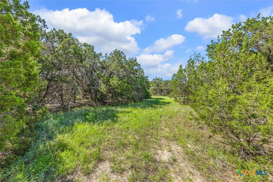Wimberley, TX 78676,2453 S Rainbow Ranch RD