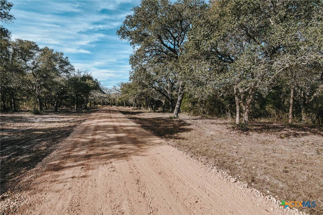 Inez, TX 77968,Tract F Vitek LN