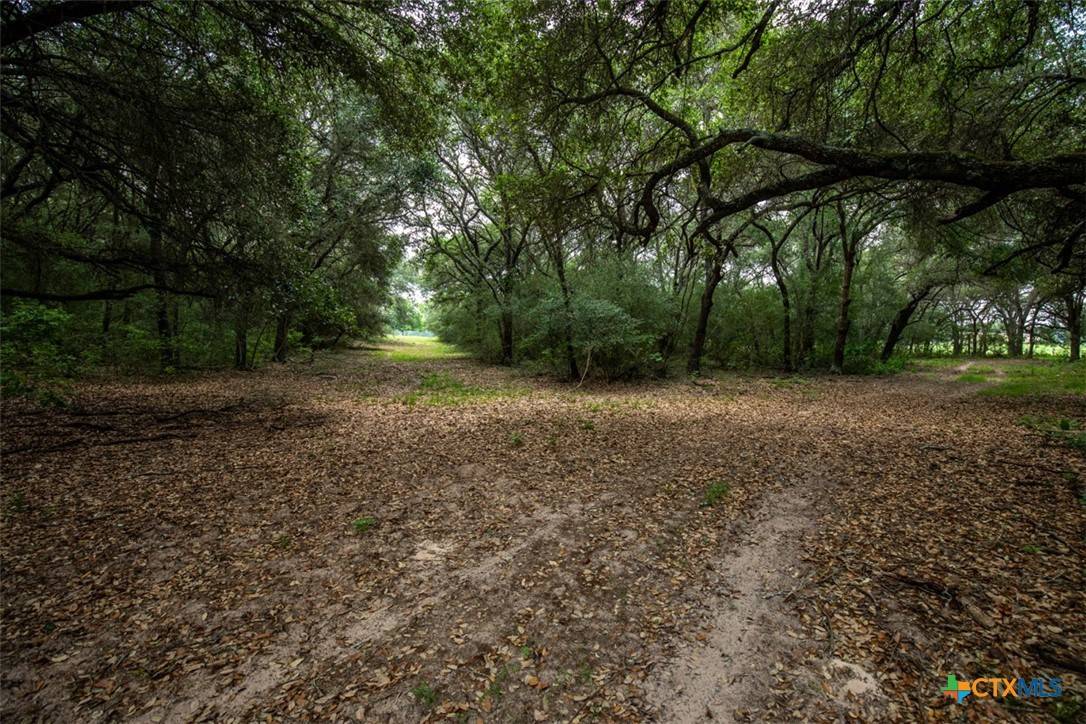 Hallettsville, TX 77964,TBD County Road 90e