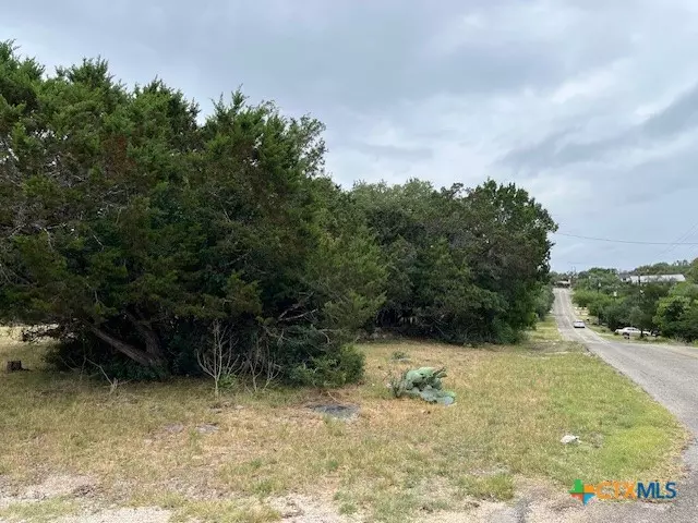 Canyon Lake, TX 78133,1464 Canyon Edge