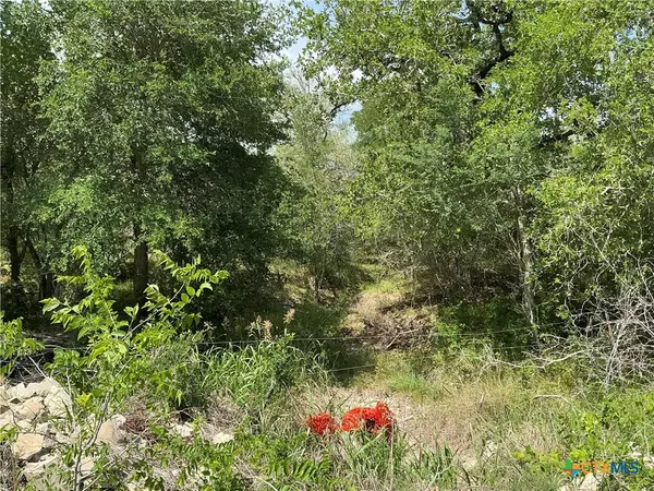 Smiley, TX 78159,1066 Robertson RD