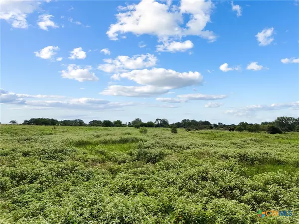 Hallettsville, TX 77964,128 County Road 214