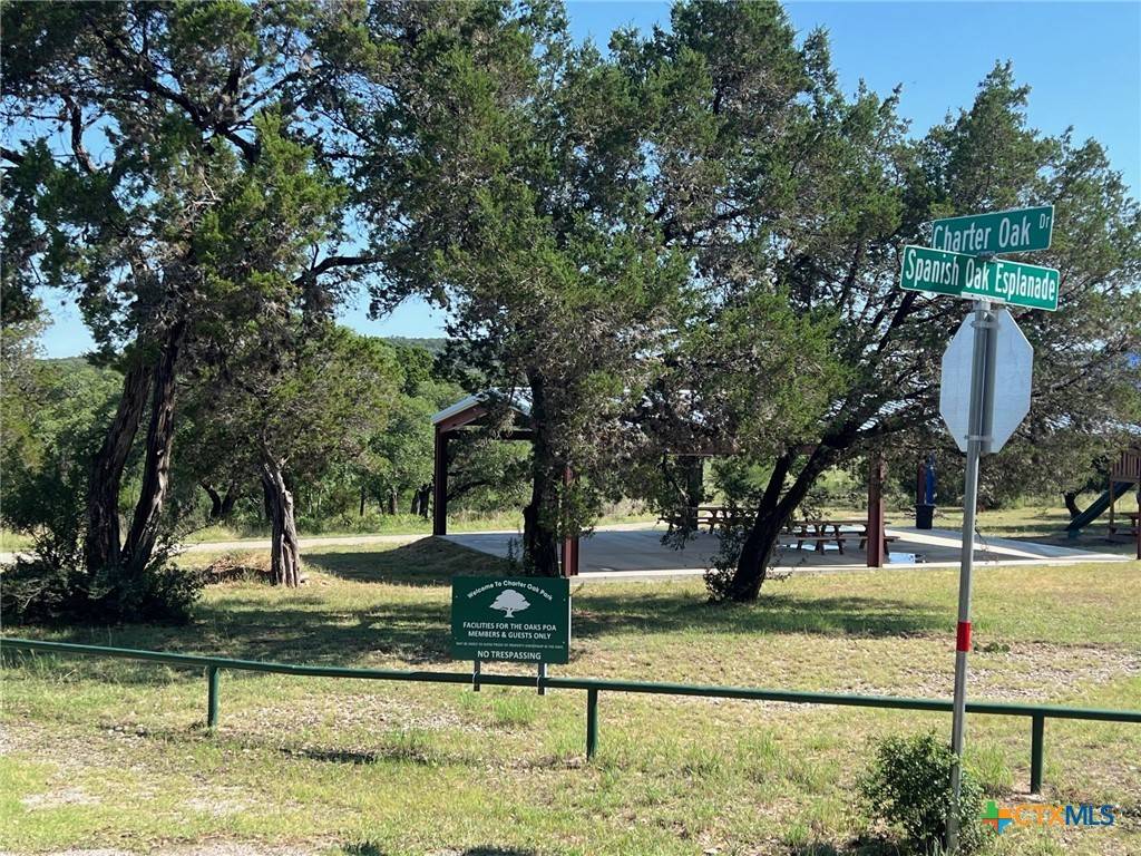Canyon Lake, TX 78133,TBD LUEHFLING DR