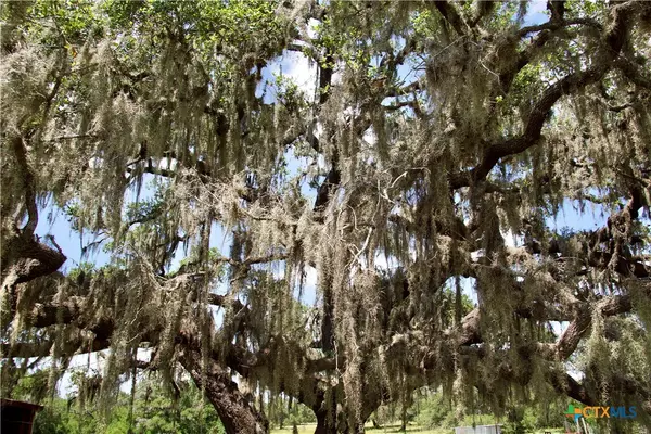 Thomaston, TX 77954,000 Fordtran Rd Tract 4