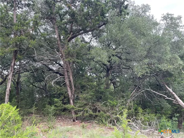 Spring Branch, TX 78070,1021 Santa Fe TRL