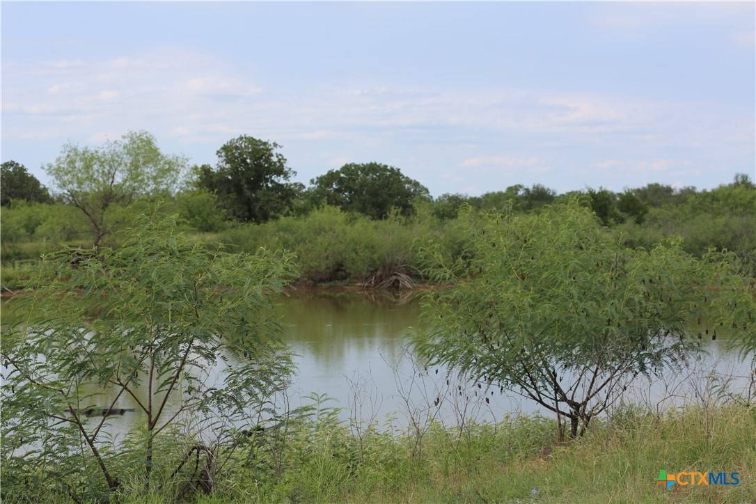 Waelder, TX 78959,974 County Road 451