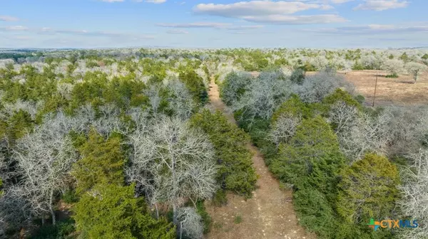 16945 FM 713, Rosanky, TX 78953